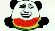 娱乐吃瓜酱喜欢就要争取,娱乐吃瓜酱的甜蜜爱情宣言