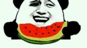 熟悉娱乐吃瓜群众的句子,娱乐八卦背后的文化现象与社交互动