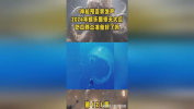 2024年娱乐吃瓜,吃瓜群众狂欢盛宴